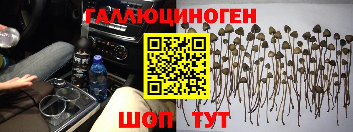 Галлюциногенные грибы GOLDEN TEACHER  Вход с VPN  Екатеринбург 